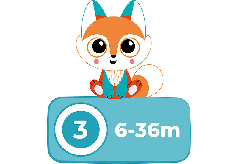 landing-detail-image